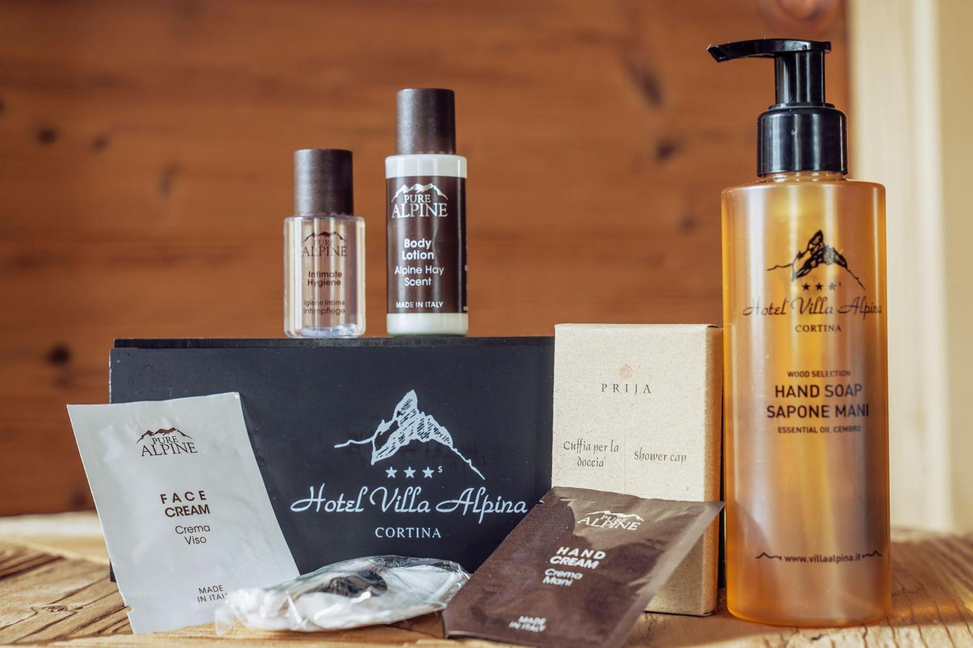 Hotel Villa Alpina ***S 科尔蒂纳丹佩佐 外观 照片