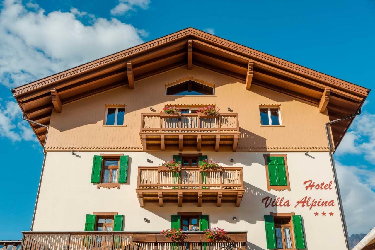 Hotel Villa Alpina ***S 科尔蒂纳丹佩佐 外观 照片